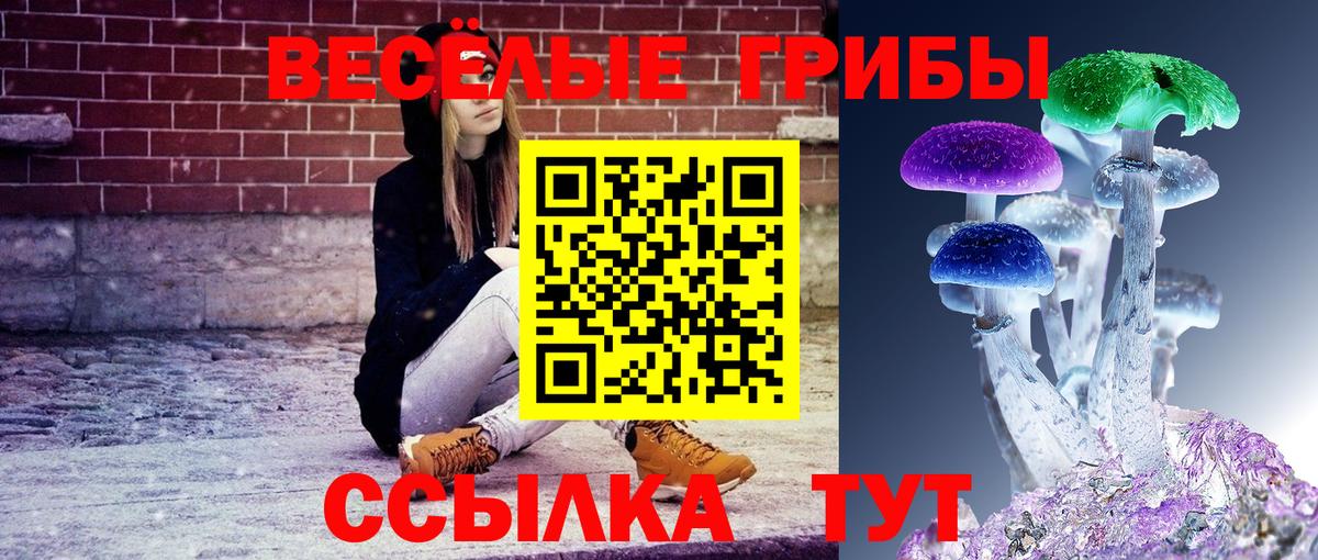Казань  где можно купить   Вход с VPN  Галлюциногенные грибы мицелий 