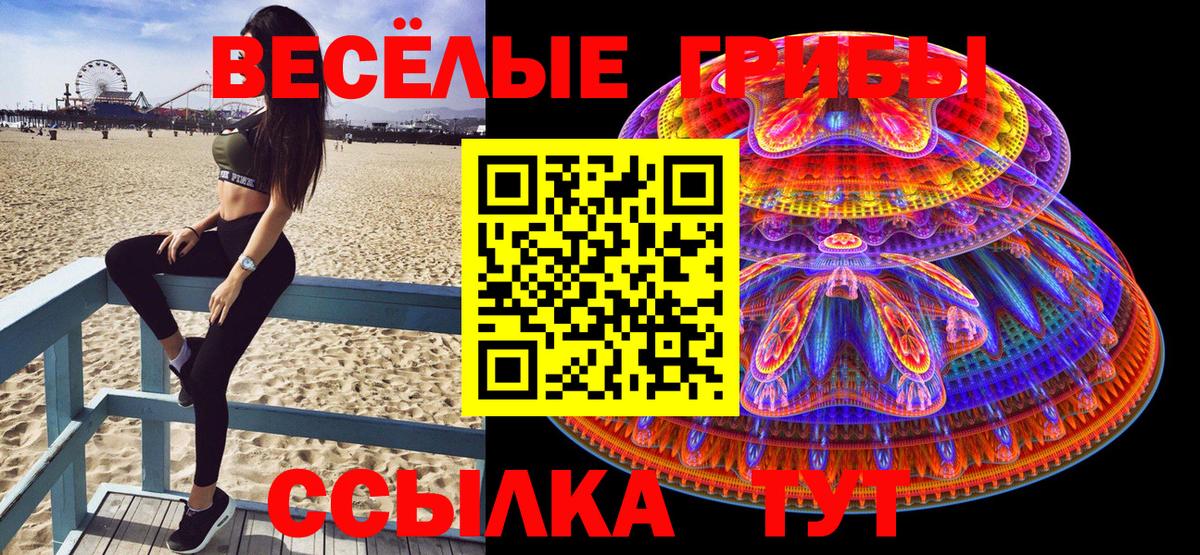 Псилоцибиновые грибы Psilocybe Казань